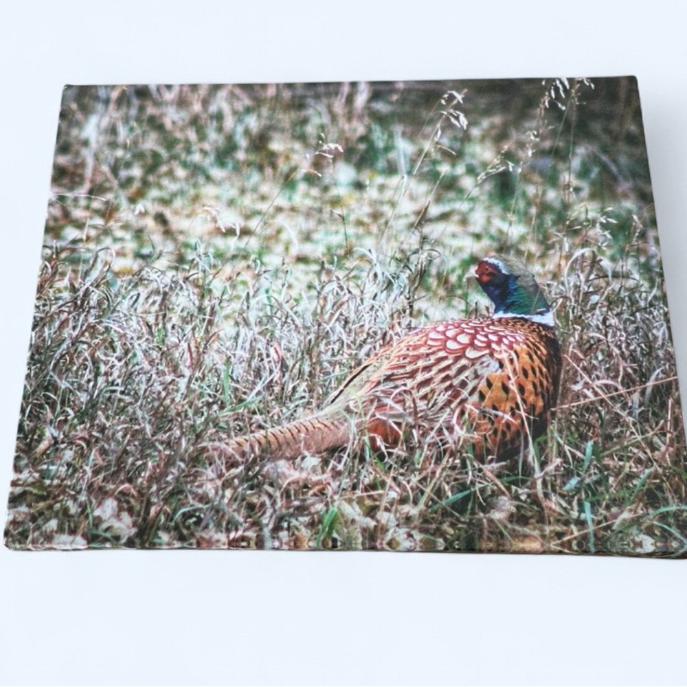 Pheasant canvas print 11” x 14”. New!